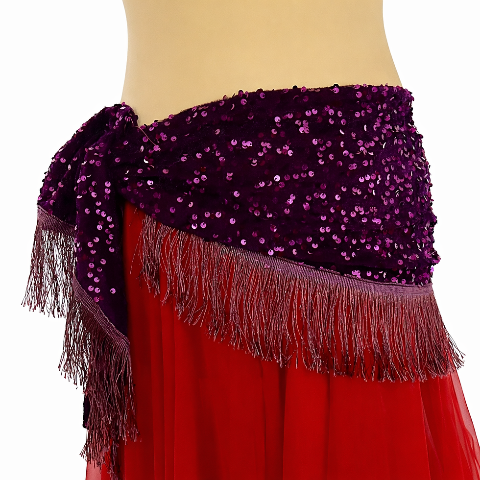 Thumbnail: Purple Sequin Bellydance Hip Belt