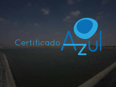ACP receives Blue Certificate