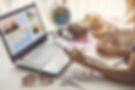 AdobeStock_169263909.jpeg