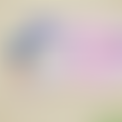 Conversion of Foreign Driving Licence to Singapore Driving Licence