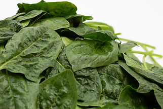 Espinaca