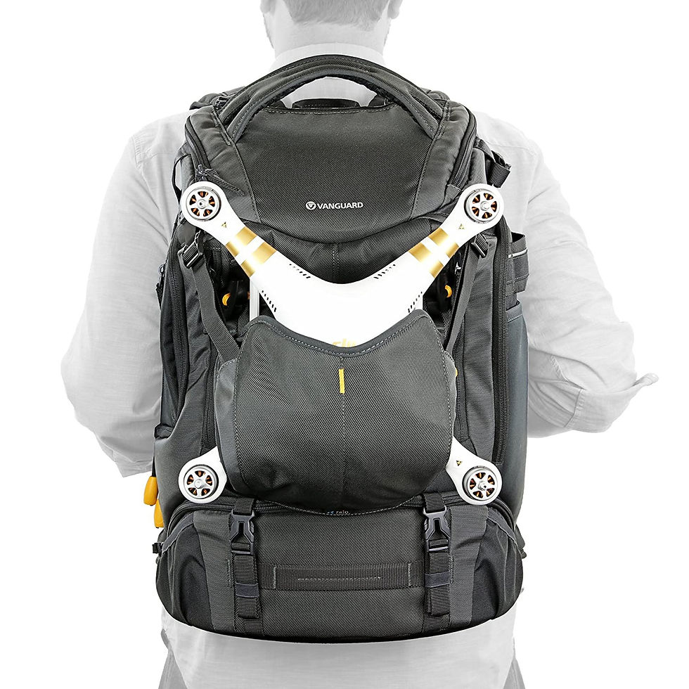 Thumbnail: Vanguard Alta Sky 51 D Camera Backpack