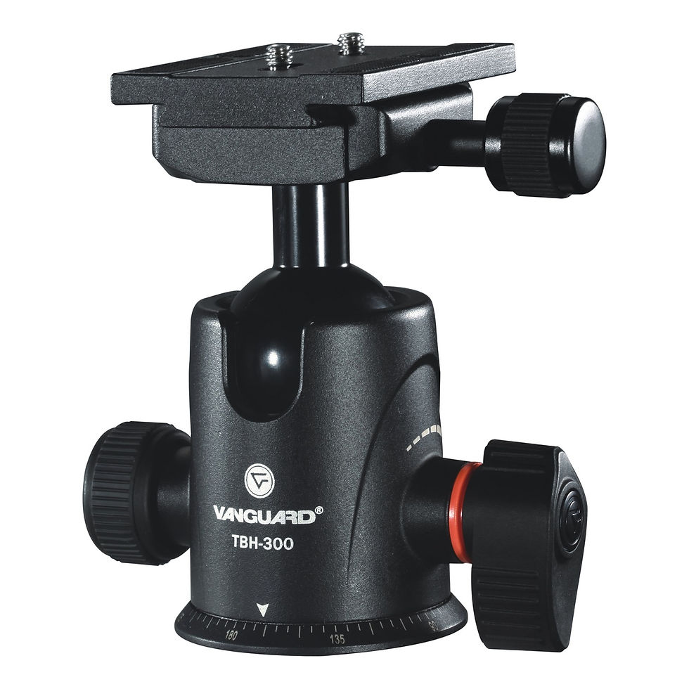 Vanguard TBH - 300 Ball Head