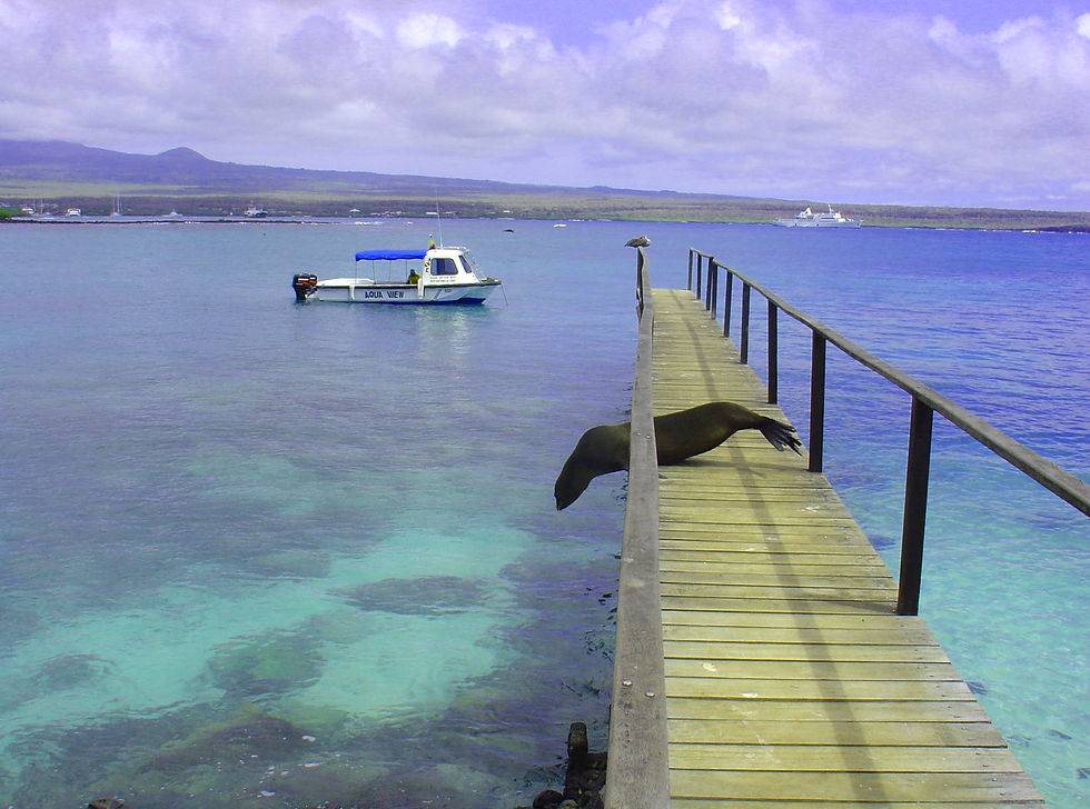 Paseo Costero
