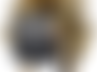 A Nice Christmas Addition