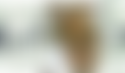 Must-Have Easter Decor Items