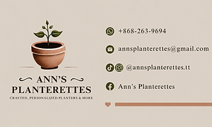 Plant Pots