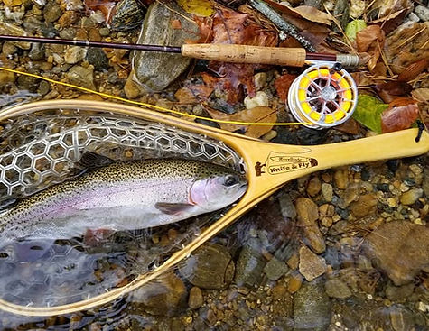 STREAM PAGE_edited_edited.jpg