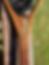 Thumbnail: Figure Walnut Stream Net