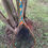 Thumbnail: Steelhead River Net