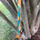 Thumbnail: Steelhead River Net