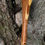 Thumbnail: Mid Length Cautious Brown