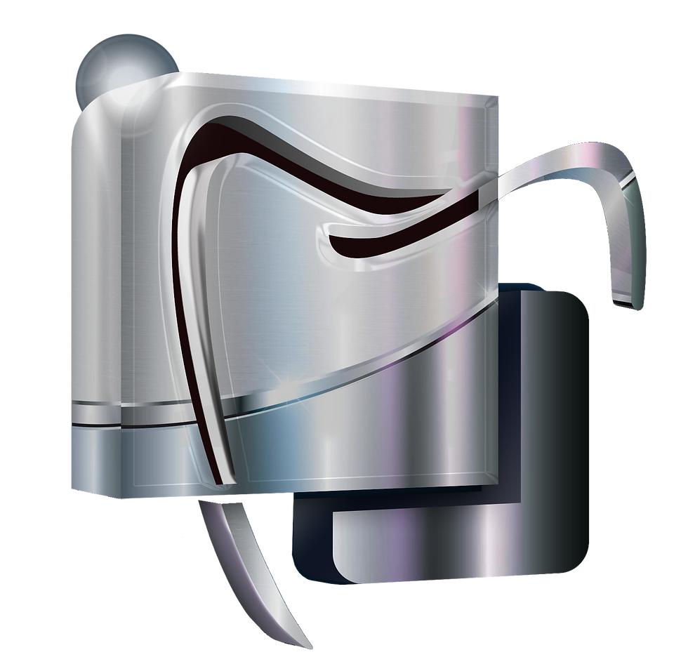 MISAEL LOGO INTRO.png
