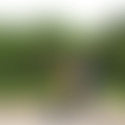 Beach and Riverside litter pick