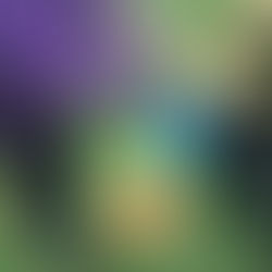 Apple Day at Viewfield Orchard 2018