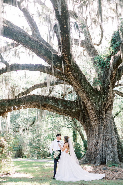 Magnolia Plantation