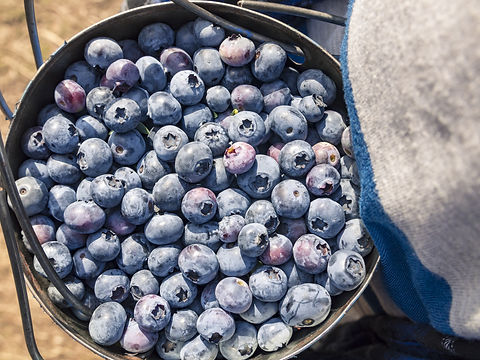AdobeStock_134403675.jpeg