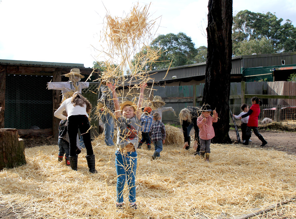 Golden Ridge Animal Farm, Dural, Sydney