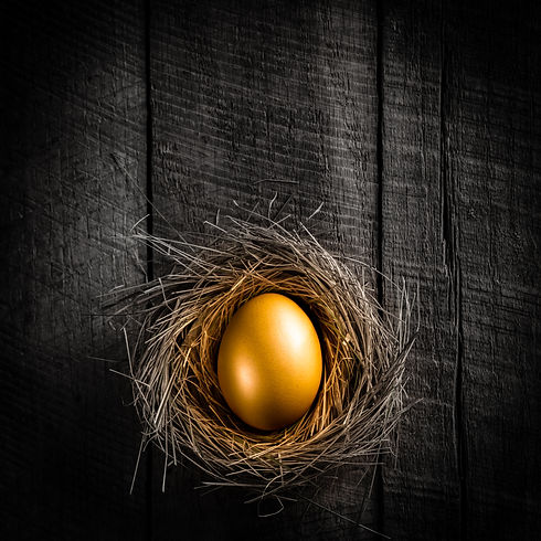 Golden Egg.jpeg