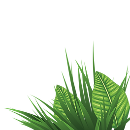 Fresh tropical grass decoration.png