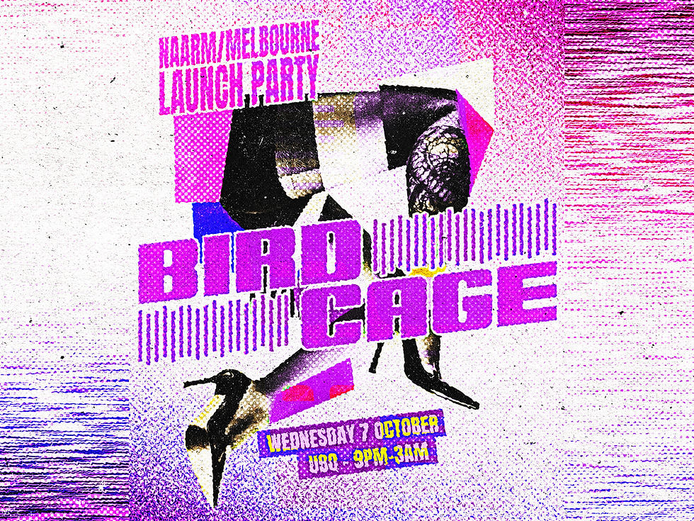 Birdcage Naarm/Melbourne Launch Party
