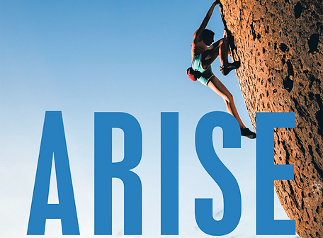 ARISE_edited.png