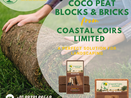 Coco Coir Pith in Landscaping