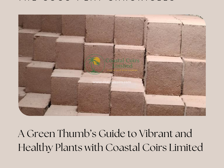 The Coco Peat Chronicles: A Green Thumb’s Guide to Vibrant and Healthy Plants with Coastal Coirs Limited