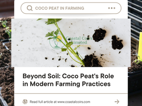 Beyond Soil: Coco Peat's Role in Modern Farming Practices