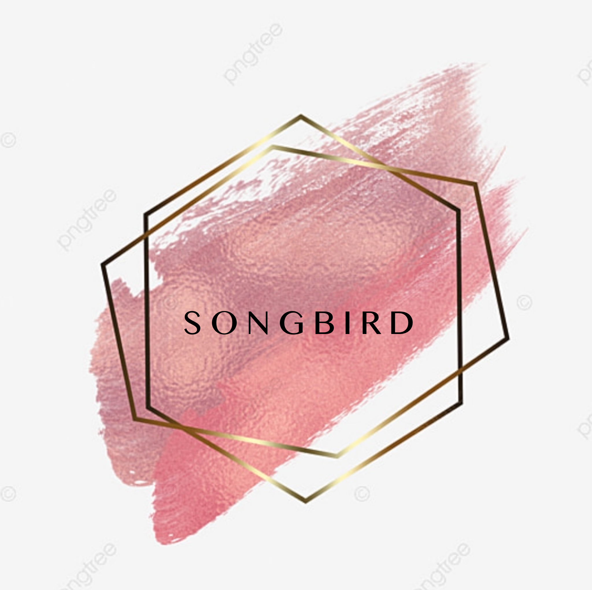 "Songbird" - Fleetwood Mac Cover -Digital Download