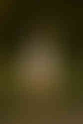 Senior Girl in a white Cowgirl Boots with green grass.