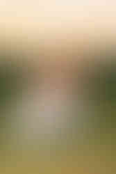 A senior girl sits in the grass with a sunset behind her.