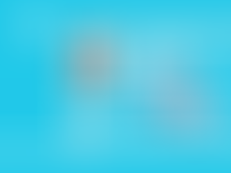 הצלחתם לפגוע בול?