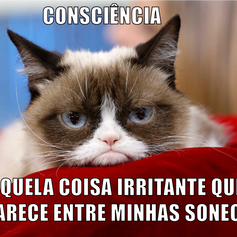 O que é a consciência do ponto de vista da meditação?