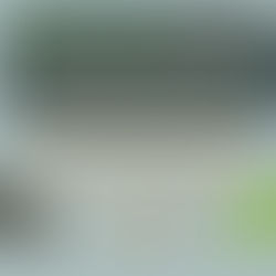 Porque e como aumentar a compaixão por pessoas que você não conhece?