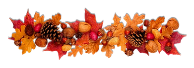 Thanksgiving & Fall (Line Break - Clipart) 3.png