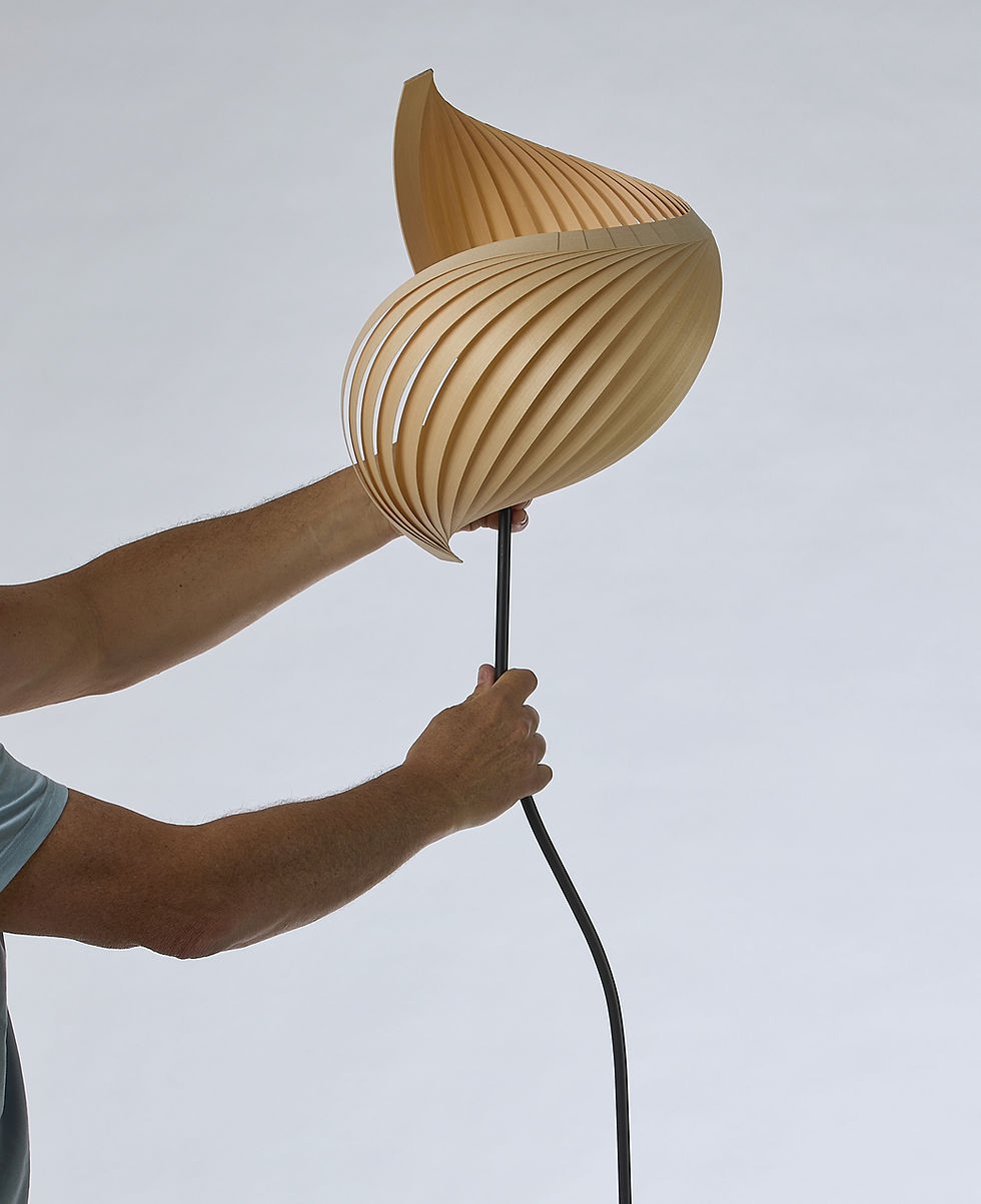 Thumbnail: FLAMINGO floor lamp