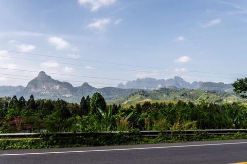 Looking out at Khao Sok National Park from the road