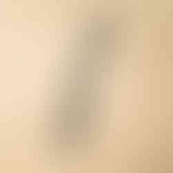 A camel train walking through the desert