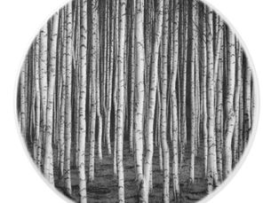 Best Deals! Brezový grove birch trees, russia ceramic knob