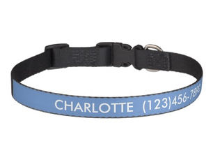 Hot Deals! Simple cornflower blue custom name phone modern pet collar