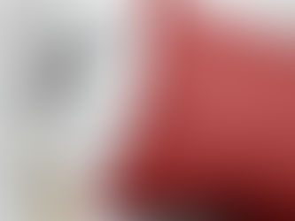 Hot Review! Red Glitter, Sparkle, Glitter Background Pet Bed