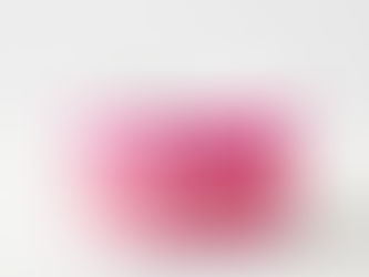 Review Pink Axolotl Funny A Lotl Ramen Bowl