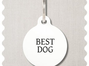 Review Best Dog Wedding Pet ID Tag