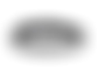 Hot Deals! Checkered squares black and white geometric retro pet collar