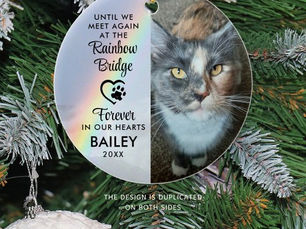 Best Price! Pet Cat Memorial Photo Rainbow Bridge Ceramic Ornament