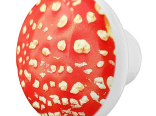 Best Deals! Red and White Mushroom Toadstool Photography Ceramic Knob
