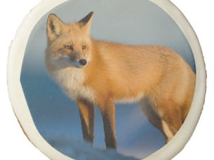 Best Price! Brown Fox Sugar Cookie