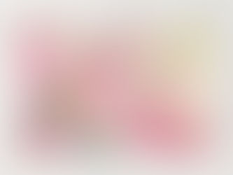 Hot Review! Lily's Trinket Tray