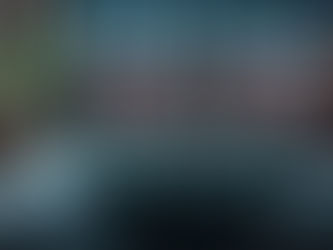 Best Price! Elegant Moody Modern Lotus Flower Pattern Pillow Case